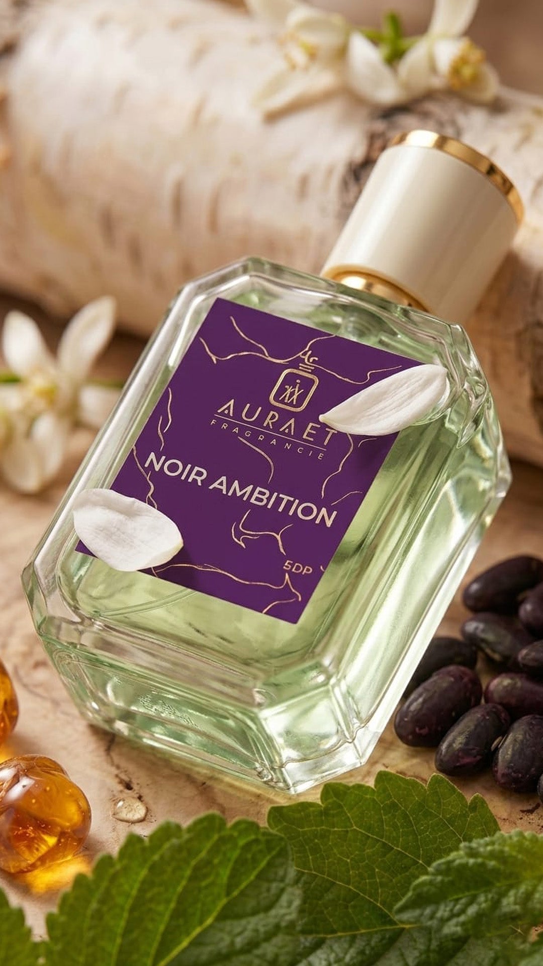 Noir Ambition